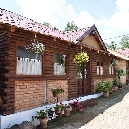 Panorama Lomnica Bed & Breakfast Despotovac Exterior photo