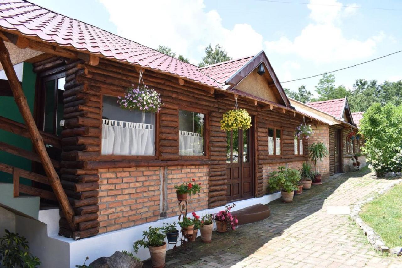 Panorama Lomnica Bed & Breakfast Despotovac Exterior photo