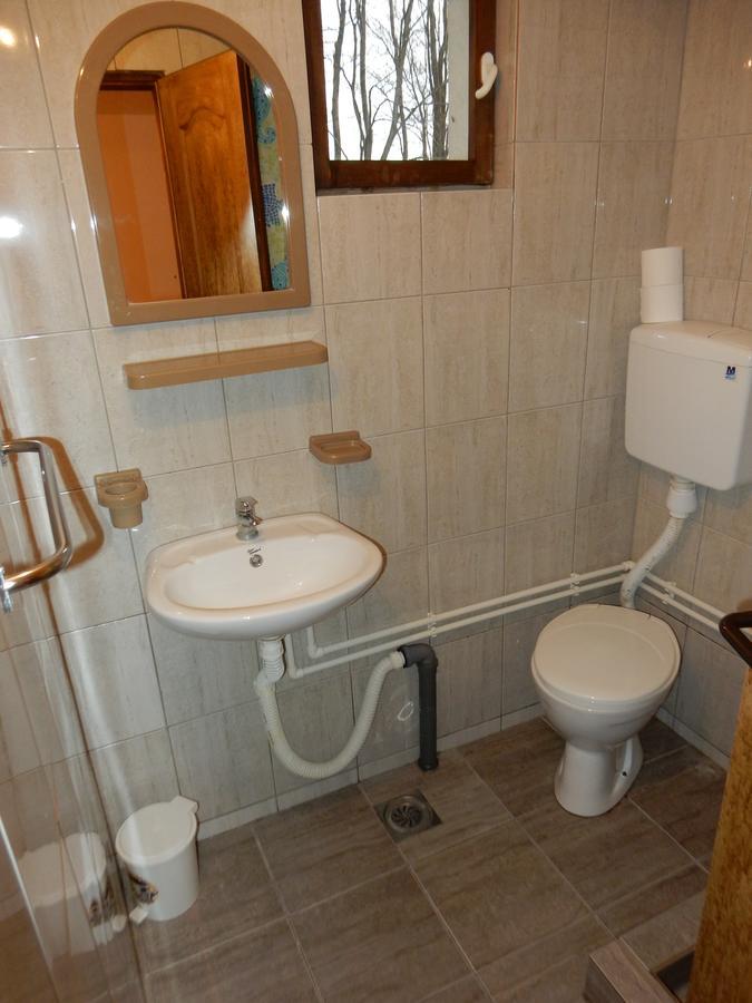 Panorama Lomnica Bed & Breakfast Despotovac Exterior photo