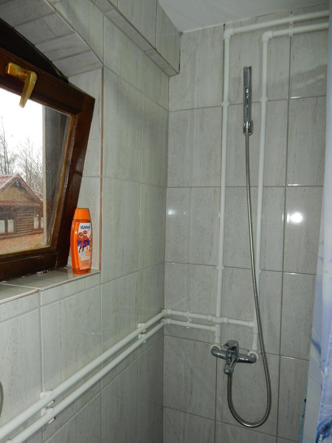 Panorama Lomnica Bed & Breakfast Despotovac Exterior photo