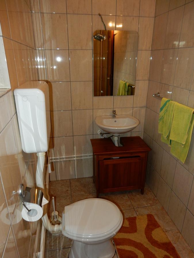 Panorama Lomnica Bed & Breakfast Despotovac Exterior photo