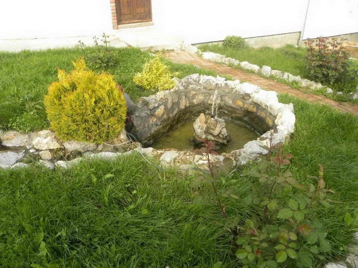 Panorama Lomnica Bed & Breakfast Despotovac Exterior photo