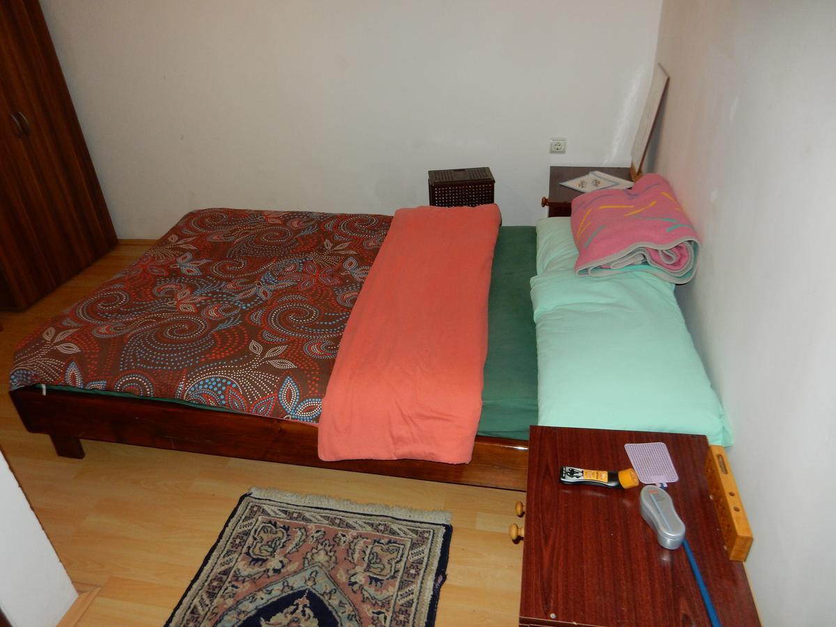 Panorama Lomnica Bed & Breakfast Despotovac Exterior photo