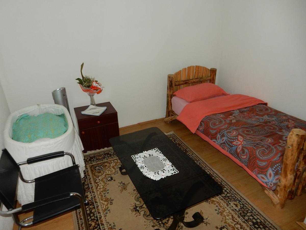 Panorama Lomnica Bed & Breakfast Despotovac Exterior photo