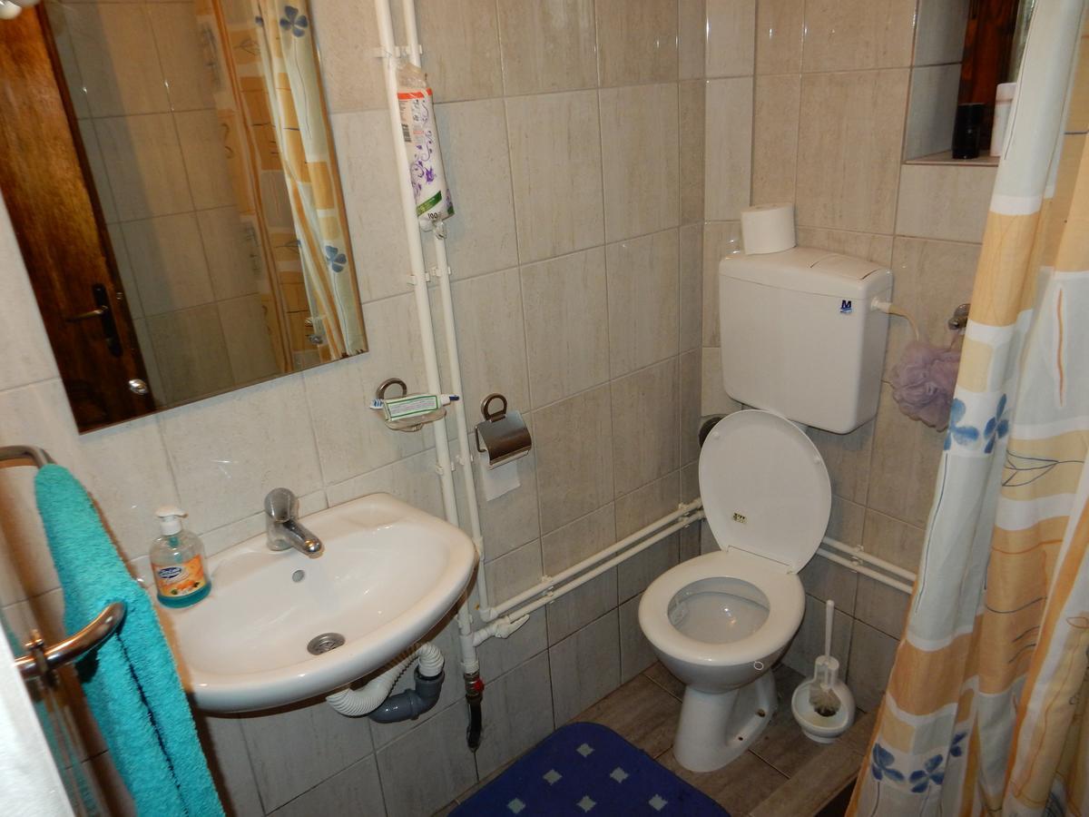 Panorama Lomnica Bed & Breakfast Despotovac Exterior photo