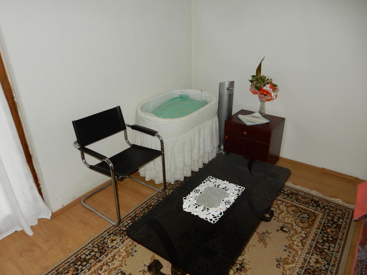 Panorama Lomnica Bed & Breakfast Despotovac Exterior photo